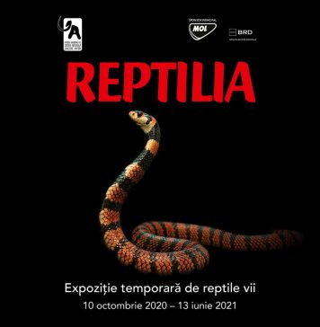 O expoziţie temporară de reptile vii, găzduită din 10 octombrie de Muzeul „Antipa”