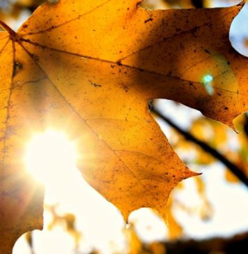 Prognoza meteo în weekend. Temperaturile încep să crească. Vom avea 30 de grade