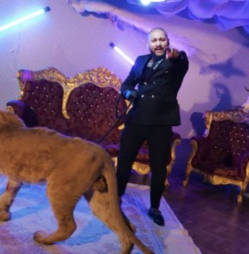 Percheziții la locuința manelistului Dani Mocanu, după videoclipul în care apare un leu rănit