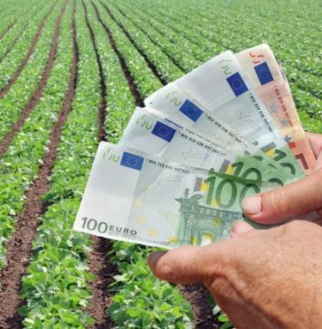 O treime dintre angajații unei mari bănci din România rămân fără activitate