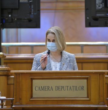 Beatrice Tudor: La inițiativa PSD, piețele rămân deschise