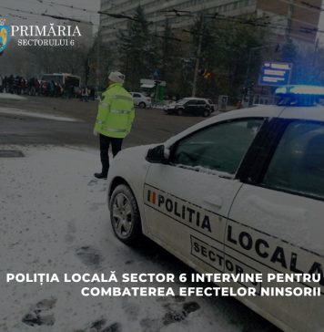 Poliția Locală Sector 6 intervine pentru combaterea efectelor ninsorii