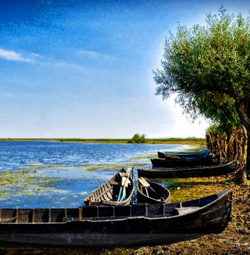 Administraţia Rezervaţiei Biosferei Delta Dunării anunță prelungirea valabilităţii actelor pentru pescuitul comercial