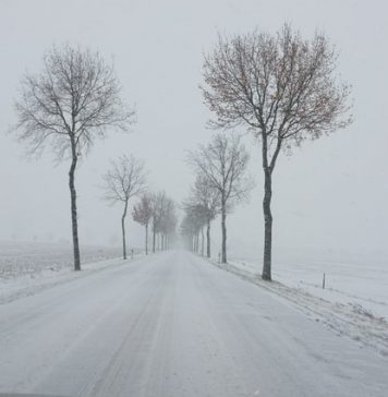 Vremea ne dă bătăi de cap. Nouă județe și Capitala au fost afectate de ninsori și vânt puternic în ultimele ore