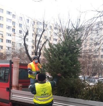 Primăria Sectorului 2 a început ridicarea brazilor de Crăciun