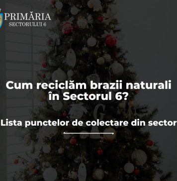 Primăria Sectorului 6 colectează GRATUIT brazii naturali, rămaşi de la sărbători