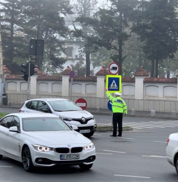 Poliția Locală Sector 6 intervine pentru combaterea efectelor meteorologice din zilele următoare