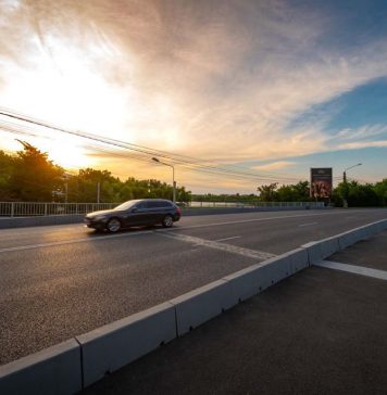 Clotilde Armand vrea să amenajarea o bază de agrement pe malul Lacului Străuleşti