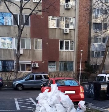 Sectorul 6: Amendă de 4.000 de lei pentur doi bărbați care au abandonat deșeuri pe domeniul public