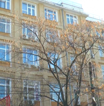 Brancardierul care a omorât din greşeală o pacientă pe care a detubat-o a fost eliberat din arest