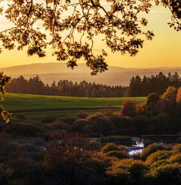 Protest comun al asociaţiilor din turism faţă de eliminarea voucherelor de vacanţă pentru 2021