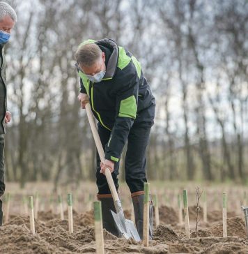 FOTO Klaus Iohannis a plantat copaci la Dăbuleni: „Această misiune este plantarea câtorva zeci de mii de hectare de pădure”/ „Fac un apel la toţi românii să respecte restricţiile”