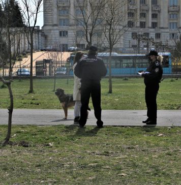 Poliția Locală București a amendat peste 70 de persoane care îşi plimbau în parc animalele de companie