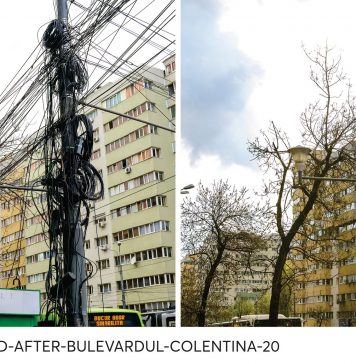 Primăria Sectorului 2 continuă să elibereze stâlpii și copacii de cabluri