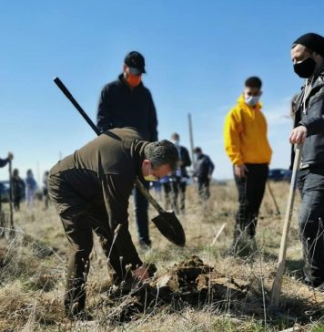 Senatorul Iordache, după ce a participat la o acțiune de reîmpădurire: Pădurea este viața!