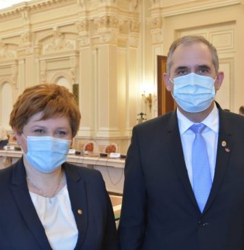 Oana Ozmen(USR PLUS București): Este important să încurajăm utilizarea materialelor de construcție prietenoase cu mediul și să identificăm soluțiile legislative privind eficiența energetică a clădirilor