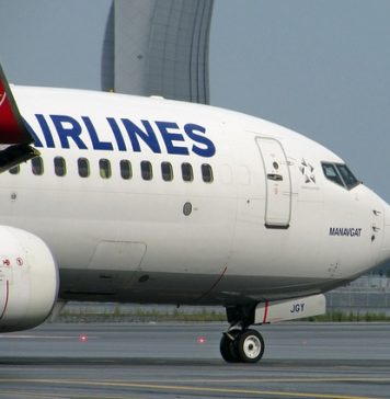 Incident pe Otopeni. Avion avariat după ce a lovit o pasăre la aterizare