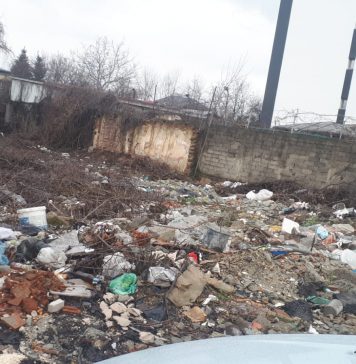 Ce a descoperit Poliția Locală București în urma verificării modului în care se menţine curăţenia în Capitală