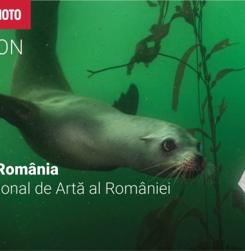 Expoziția World Press Photo a venit la București, cu fotografii și povești spectaculoase