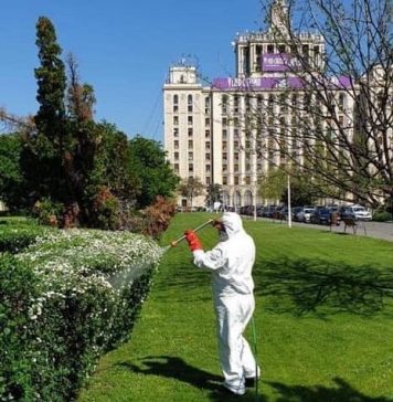 Primăria Capitalei începe tratamentele pentru prevenirea și combaterea dăunătorilor