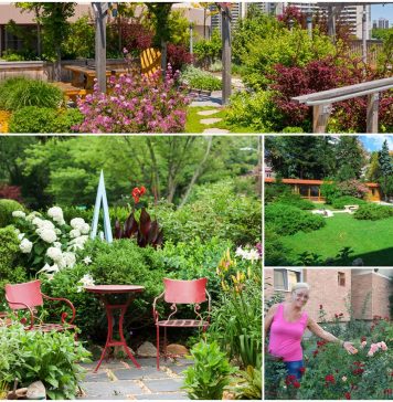 Ciucu anunță un program pentru revitalizarea grădinilor de bloc cu implicarea cetățenilor