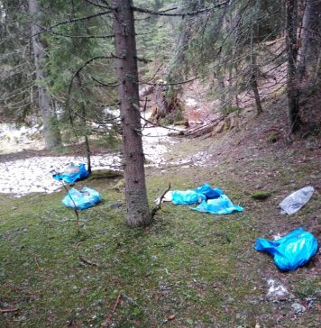 27 de câini, printre care 19 pui, uciși și abandonați în Parcul Național Retezat. A fost deschis dosar penal