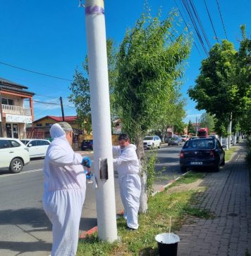Primăria Voluntari anunță o acțiune “de curăţare şi igienizare a stâlpilor de iluminat”