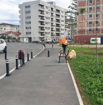 Primăria orașului Popești-Leordeni a rezolvat o parte din sesizările cetățenilor