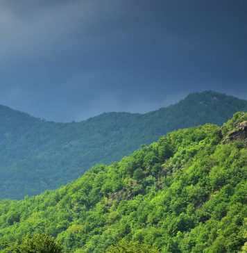 Ziua Europeană a Parcurilor marcată în 22 de parcuri administrate de Romsilva