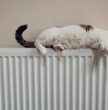 Termoenergetica opreşte furnizarea căldurii în Capitală