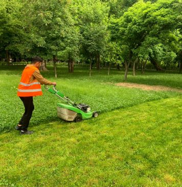 Primăria Sectorului 1 înfrumusețează și igienizează parcurile și spațiile verzi