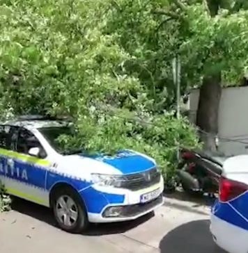 Maşină de Poliţie strivită de un copac smuls de vânt, în Bucureşti