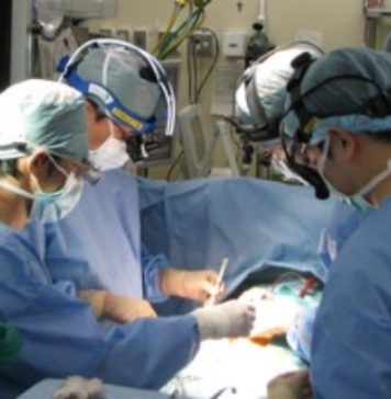 Un adolescent de 17 ani, intrat în moarte cerebrală, a salvat viaţa a patru necunoscuţi