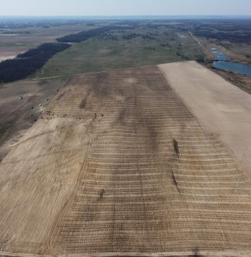 ONG-ul ViitorPlus a lansat „Sport pentru Păduri”, o inițiativă pilot a programului Adoptă Un Copac