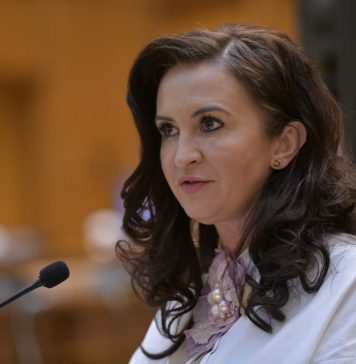 Intotero(PSD): „Guvernul lui Iohannis” și „Ministerul lui Ghinea”