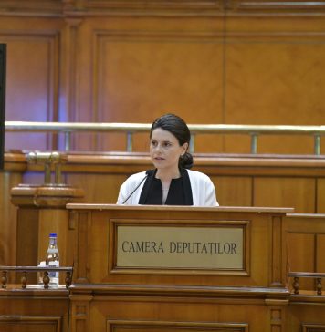 Predescu(PPU social liberal), la Comisia pentru industrii: Susțin consolidarea activelor și a companiilor din portofoliul statului, în detrimentul privatizării.