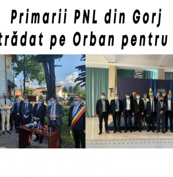 Lider PSD Gorj, reacție după întâlnirea premierului Cîțu cu primarii PNL din județ: Anul trecut, îi jurau credință lui Orban, astăzi îl trădează pentru banii promiși de Cîțu