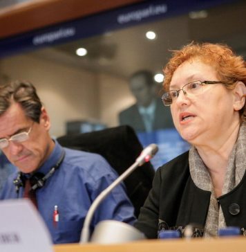 DOCUMENT / PSD a atacat la CCR revocarea din funcție a Avocatului Poporului, Renate Weber