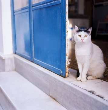 Reguli noi pentru intrarea în Grecia. Ce trebuie să știe turiștii