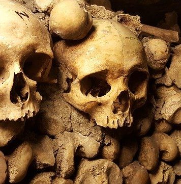 Rămășițe umane, găsite de muncitori la o grădiniță din București