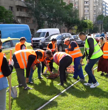 VIDEO Cristian Popescu Piedone a ieșit pe străzi la plantat de flori în Sectorul 5