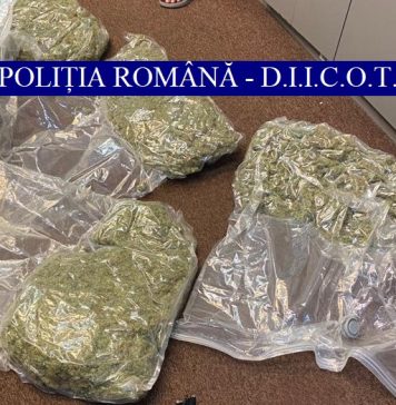 Traficanţi de droguri din Capitală, prinşi în timp ce ridicau un colet cu 4 kg de canabis