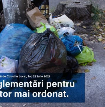 Primăria Sectorului 2: Este nevoie de mai multă ordine. Și de mai mult respect