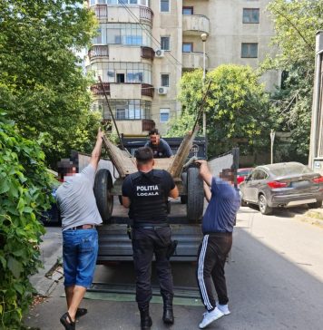 Sectorul 6: Căruțe confiscate și amenzi de 5.000 de lei pentru aruncarea ilegală a gunoiului
