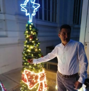 Primarul Aradului cumpără brad de Crăciun în luna lui Cuptor. Bradul are garanție de 10 ani