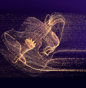 Biletele pentru Festivalul ”George Enescu” se pun în vânzare luni, începând cu ora 12,00