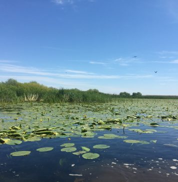 Care sunt condiţiile de acces şi survol în Rezervaţia Biosferei Delta Dunării