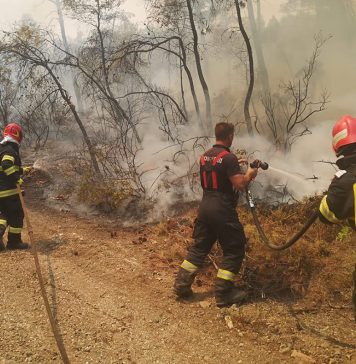Incendiile din Grecia: A început a patra zi de intervenție a pompierilor români