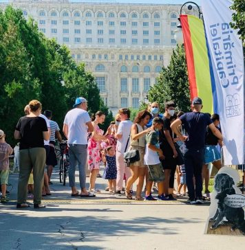 FOTO PMB a organizat mai multe evenimente pentru promovarea adopției câinilor / În total, 14 căței și-au găsit un nou cămin
