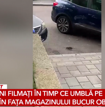 Șobolani filmați în fața magazinului Bucur Obor, în Capitală – FOTO
